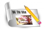 Đề thi cao đẳng môn Văn khối D năm 2014